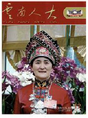 云南人大期刊